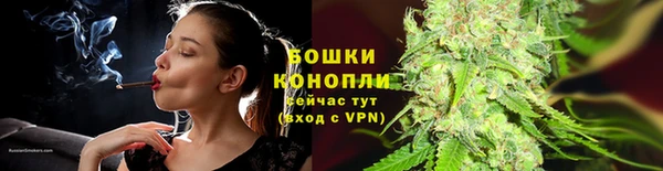 ПСИЛОЦИБИНОВЫЕ ГРИБЫ Алзамай