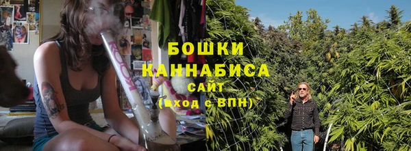 ПСИЛОЦИБИНОВЫЕ ГРИБЫ Алзамай
