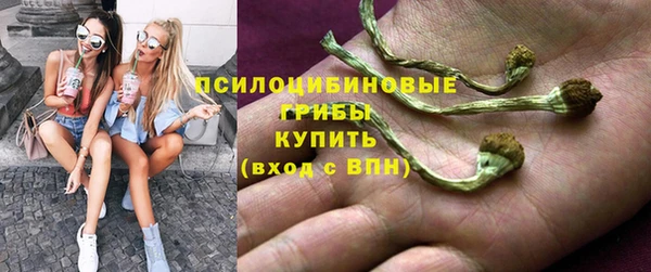 ПСИЛОЦИБИНОВЫЕ ГРИБЫ Алзамай