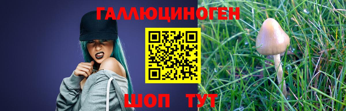 Галлюциногенные грибы Psilocybe Беслан