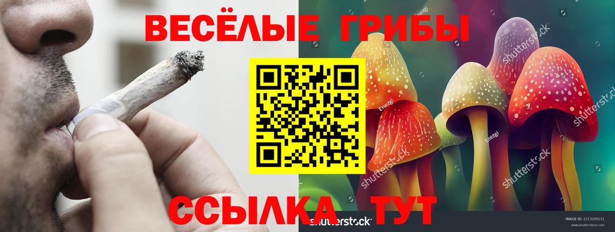 Беслан  Псилоцибиновые грибы Psilocybine cubensis  Вход с VPN 